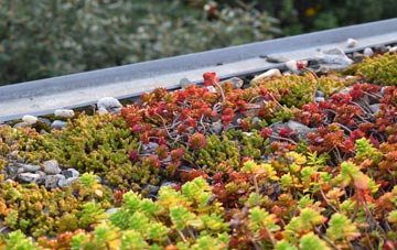 the cost of Cabbacott green roof installation