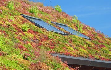 Cabbacott living roof systems